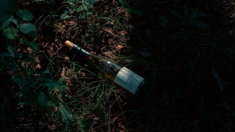 Optimal vinopbevaring: Sådan passer du bedst på din vin