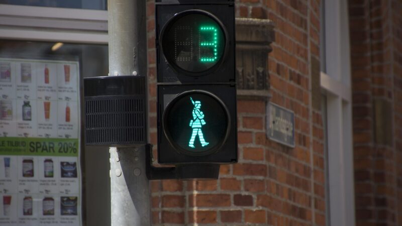 Hvepsebekæmpelse Fredericia naturligt