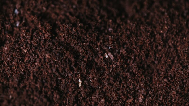Rhododendronjord: En Nøglekomponent til Dine Haveprojekter